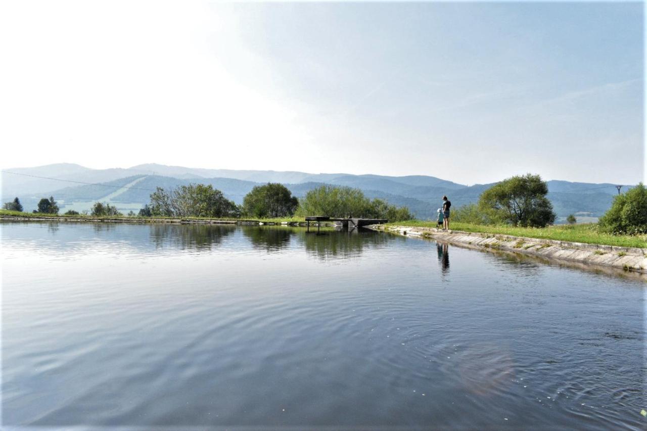Drevenica Emilka, 5 Min Restauracia, Z Terasy Vyhlad Na Kralovu Holu A Polomske Ocko, Gril, Ohnisko, Kotlik Villa Brezno Exteriör bild