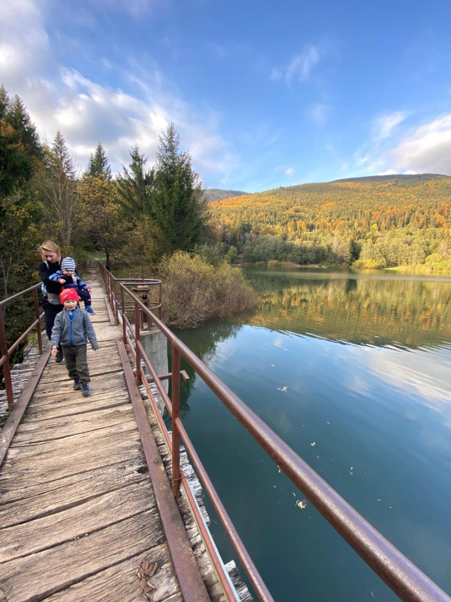 Drevenica Emilka, 5 Min Restauracia, Z Terasy Vyhlad Na Kralovu Holu A Polomske Ocko, Gril, Ohnisko, Kotlik Villa Brezno Exteriör bild