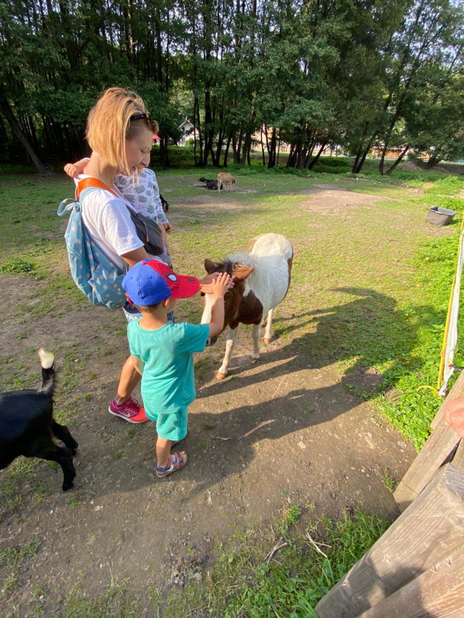 Drevenica Emilka, 5 Min Restauracia, Z Terasy Vyhlad Na Kralovu Holu A Polomske Ocko, Gril, Ohnisko, Kotlik Villa Brezno Exteriör bild